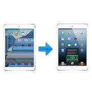 iPad Mini LCD Replacement
